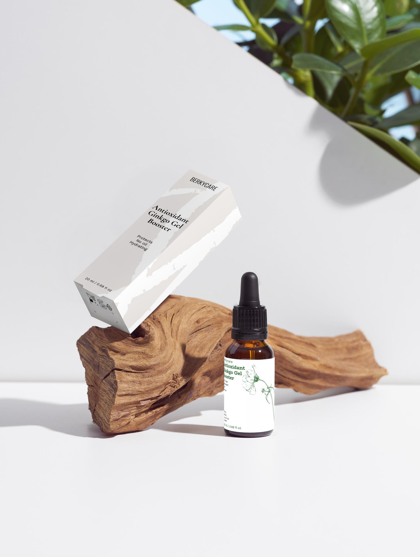 Radiant Antioxidant Ginkgo Gel Booster